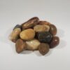 1.5” Lodi Brown - Image 2