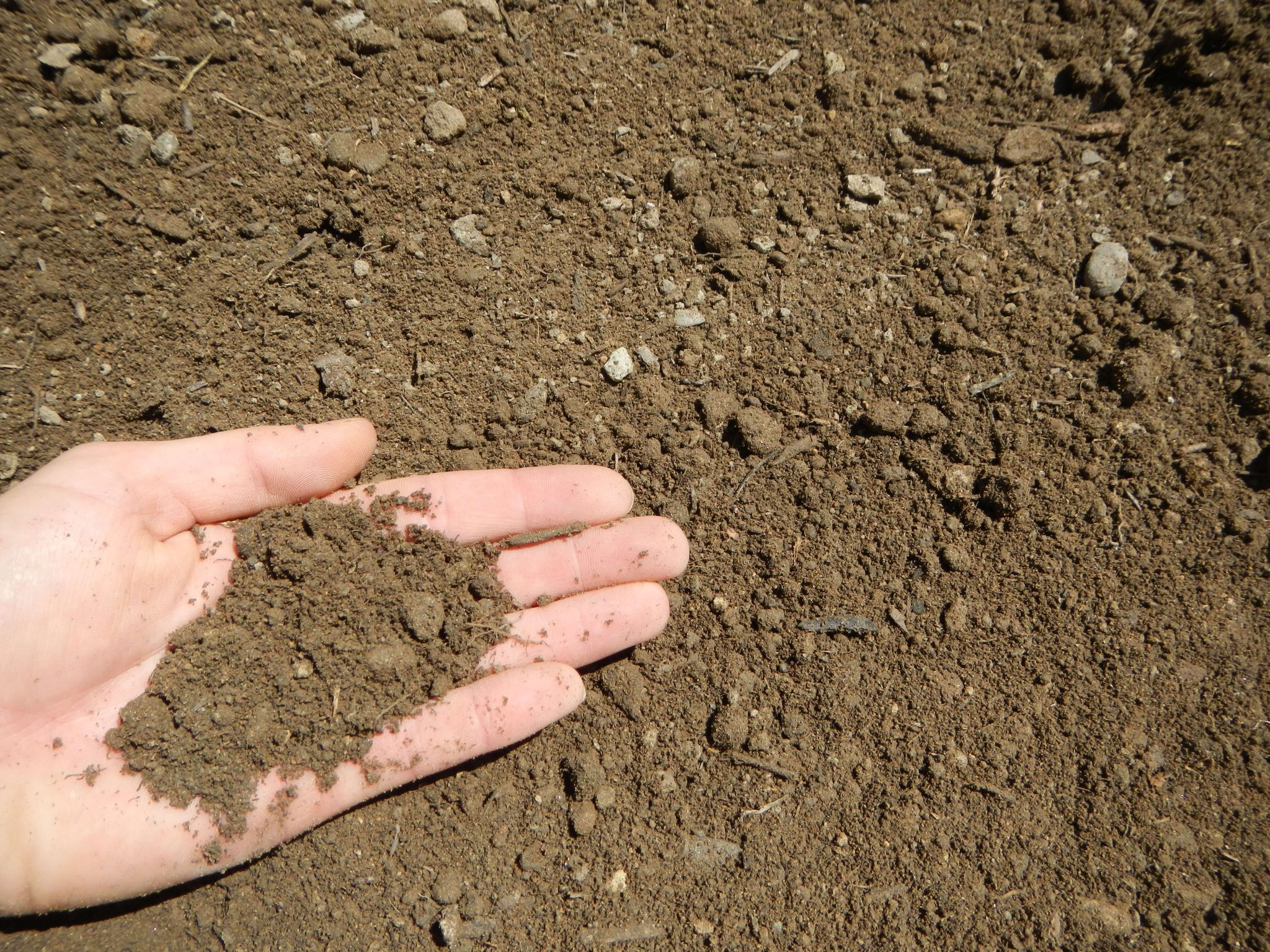 Screened Top Soil Landscaping Supplies